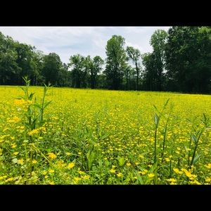 Meet your Posher, Gary